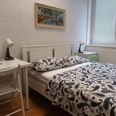 Pensionat Viksi *