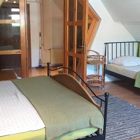 Viksi לובליאנה