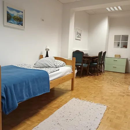 Viksi Pensionat Ljubljana