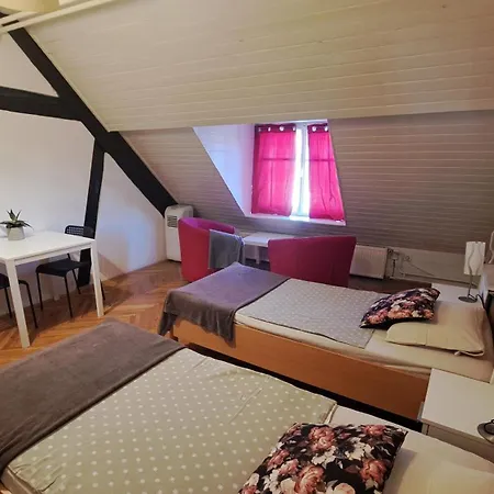 בית הארחה Viksi *