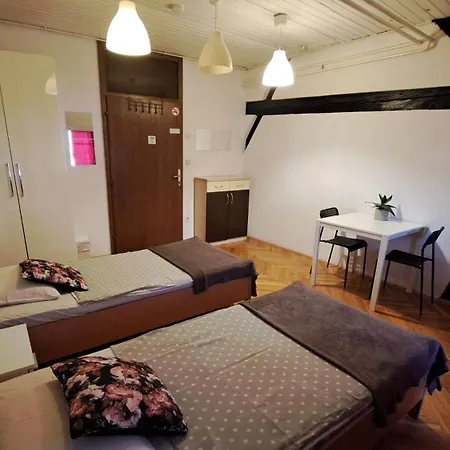 בית הארחה Viksi לובליאנה