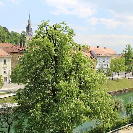 בית הארחה Viksi לובליאנה