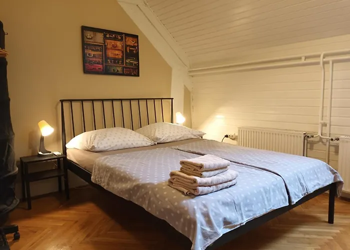 Viksi 게스트하우스 *