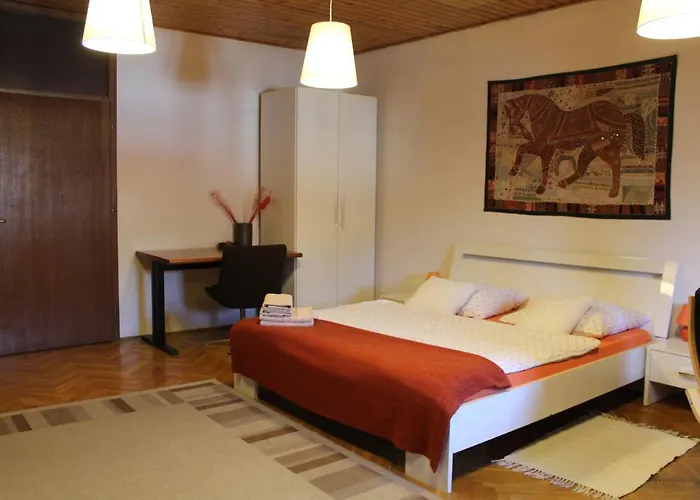 Viksi 게스트하우스 류블랴나