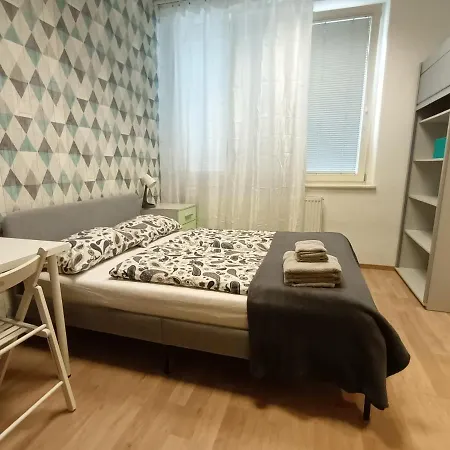Viksi Guest house *