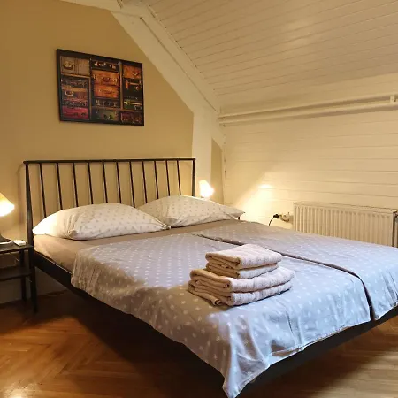 Viksi Guest house *