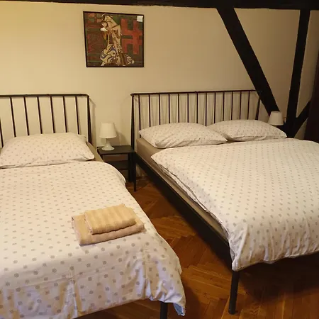 Viksi 게스트하우스 *