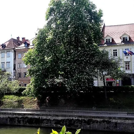 Guest house Viksi *