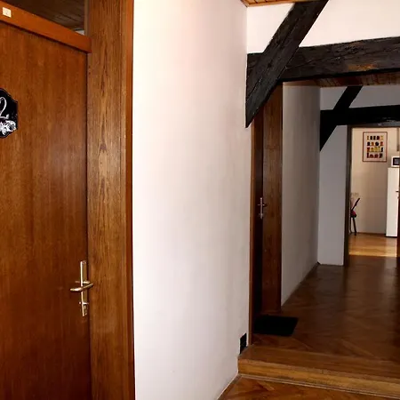 Guest house Viksi