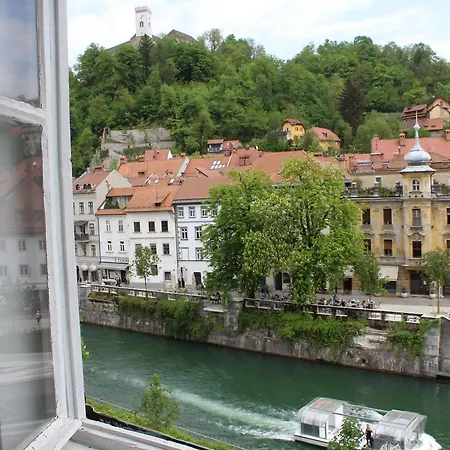 Viksi Guest house *