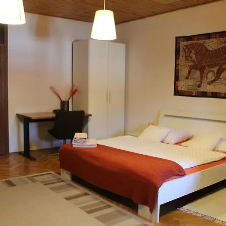 Viksi Guest house Ljubljana